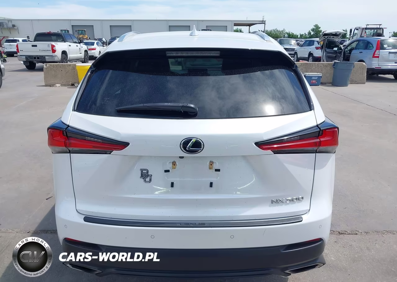 2019 Lexus Nx 300 VIN:JTJYARBZ5K2123202 - 16