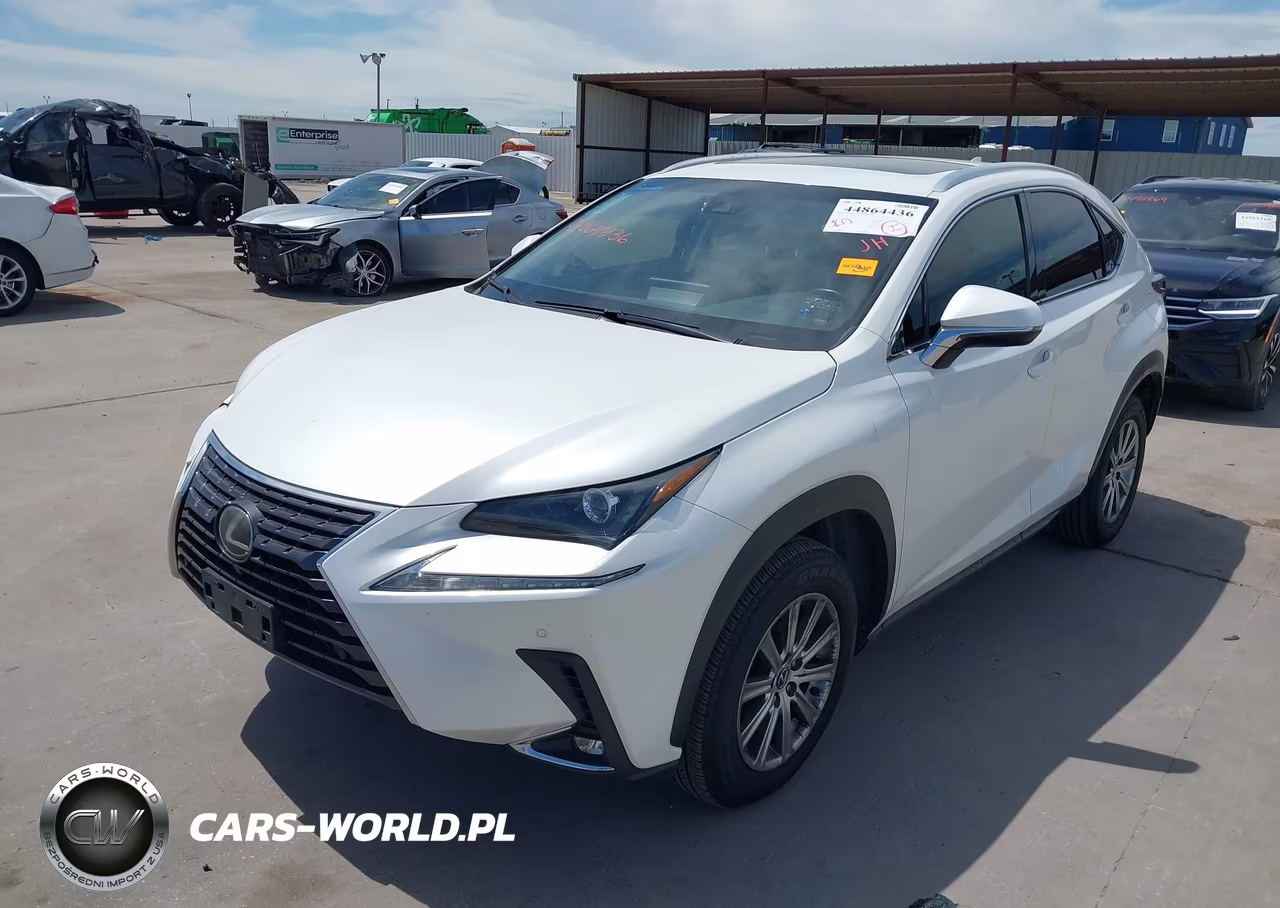 2019 Lexus Nx 300 VIN:JTJYARBZ5K2123202 - 2