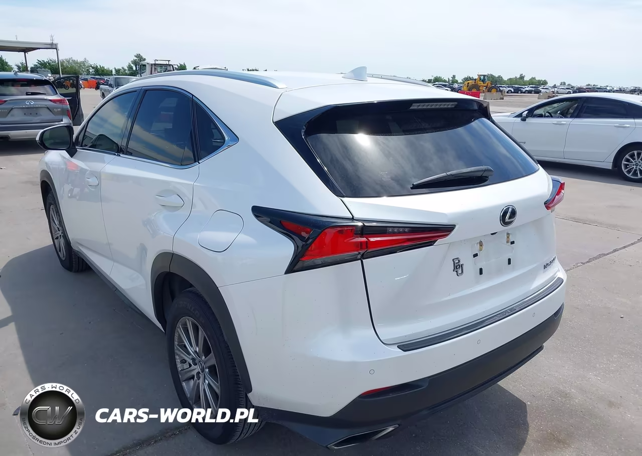 2019 Lexus Nx 300 VIN:JTJYARBZ5K2123202 - 3