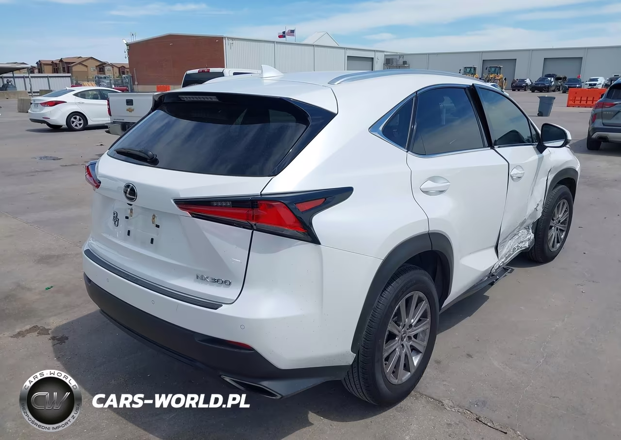 2019 Lexus Nx 300 VIN:JTJYARBZ5K2123202 - 4