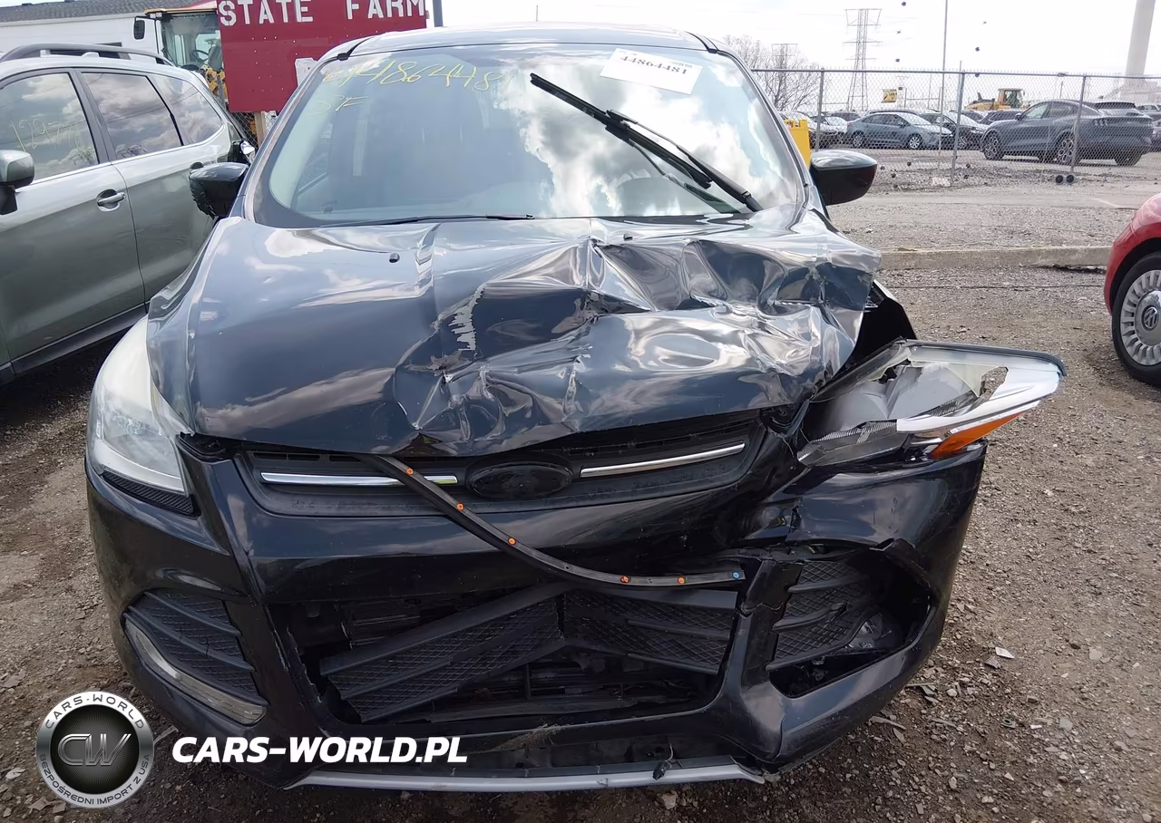 2013 Ford Escape Se VIN:1FMCU9GX7DUD67836 - 12