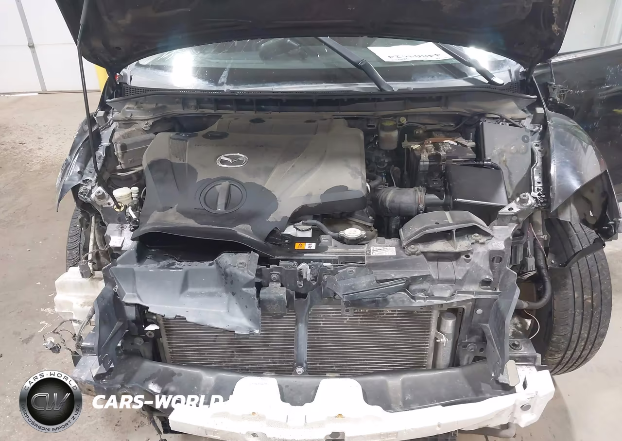 2011 Mazda Cx-7 S Touring VIN:JM3ER4CL0B0374210 - 10