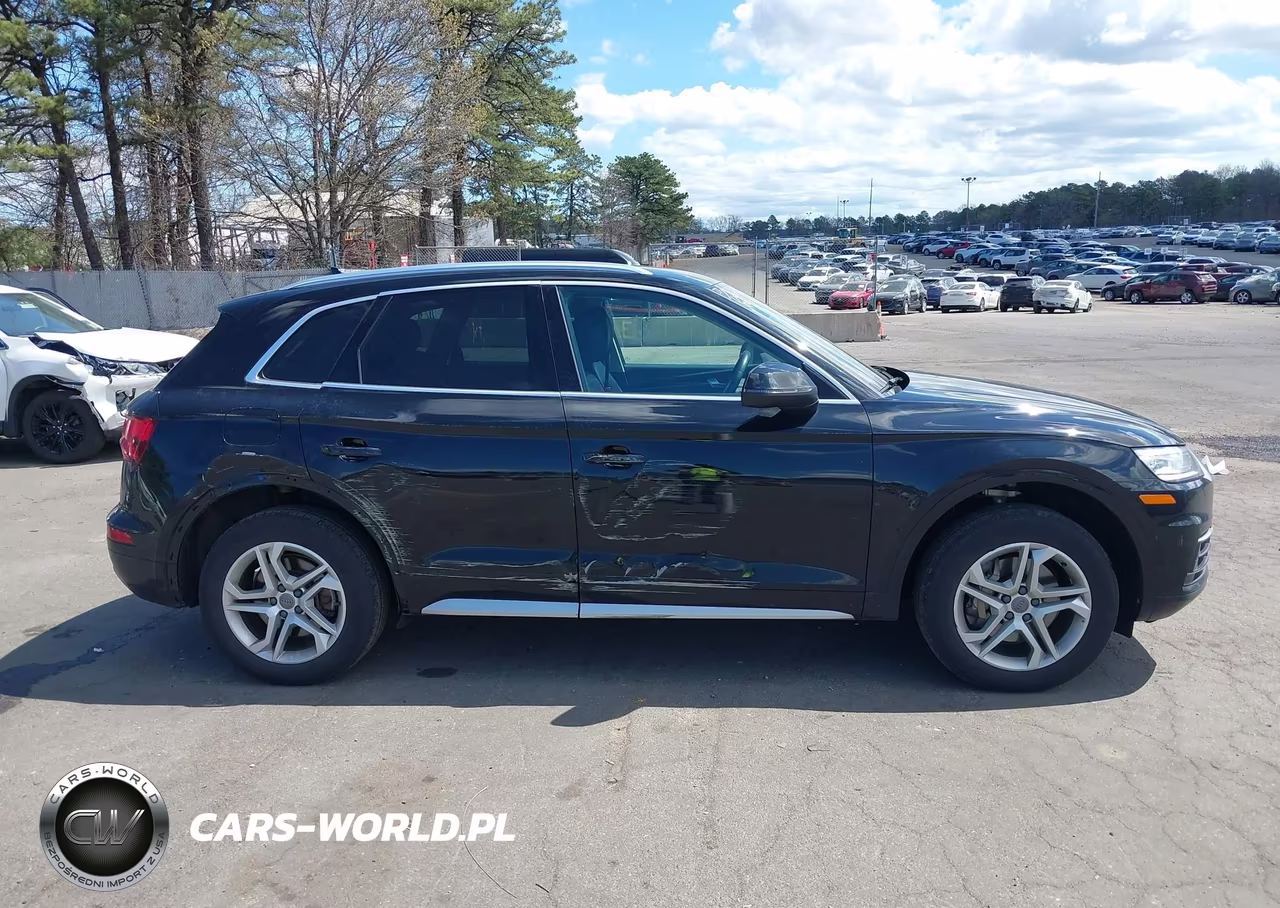2019 Audi Q5 45 Premium VIN:WA1ANAFY9K2073829 - 13