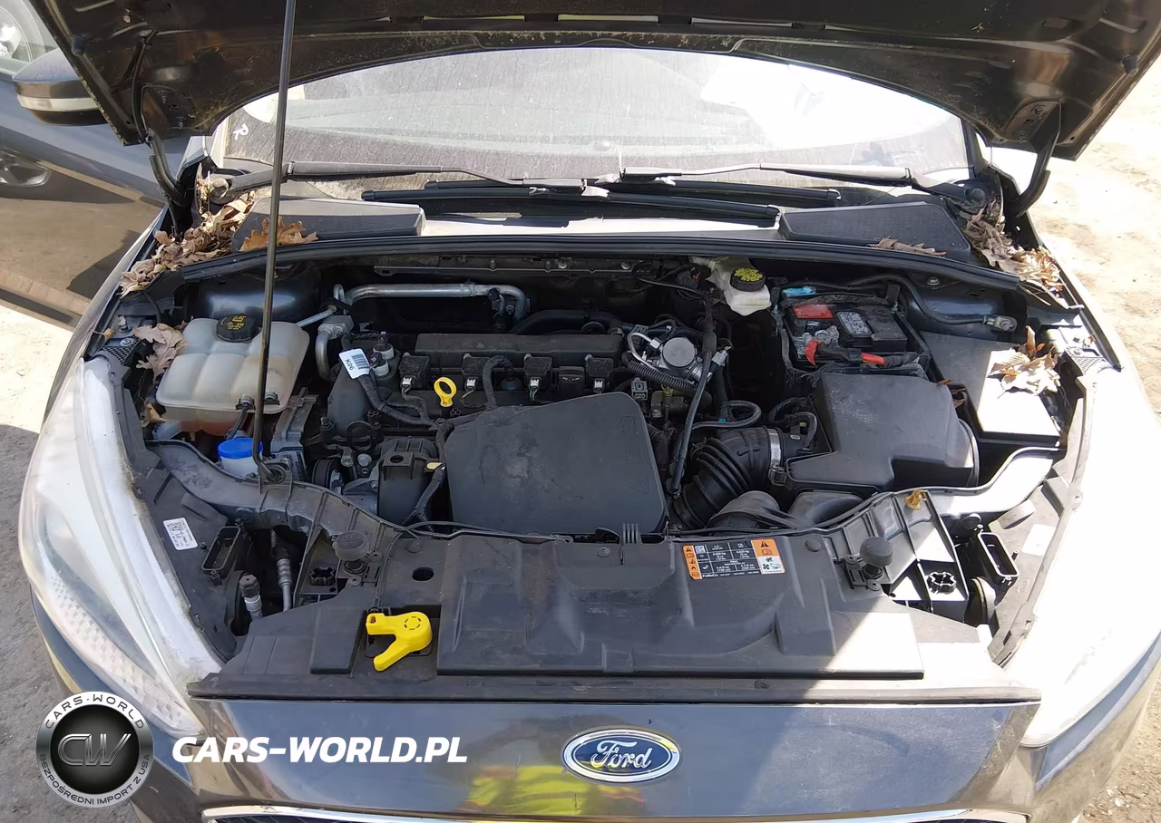 2017 Ford Focus Se VIN:1FADP3K28HL331647 - 10