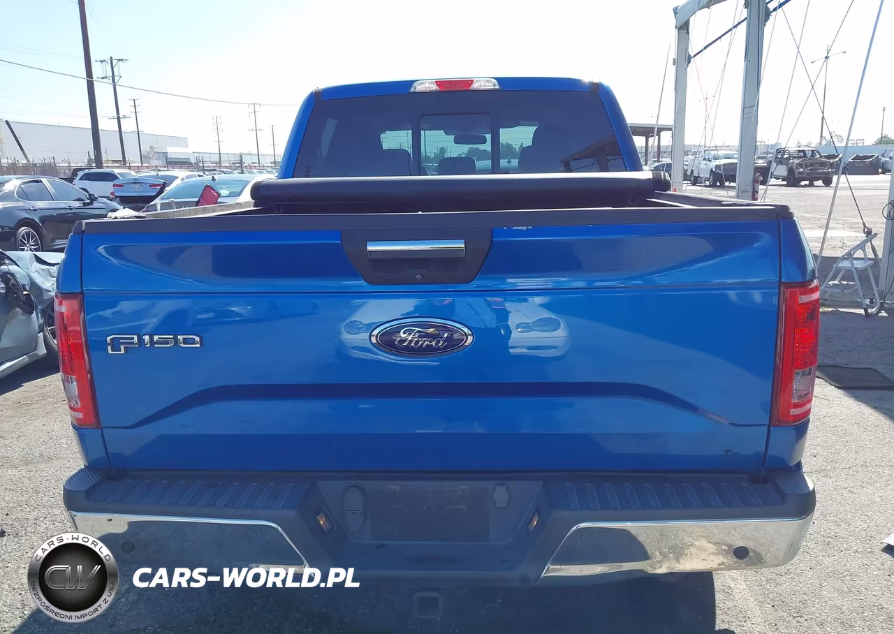 2016 Ford F-150 Xlt VIN:1FTEW1CPXGKF14701 - 17