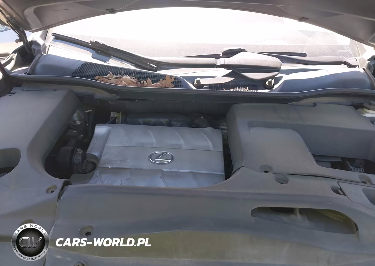 2015 Lexus Rx 350 VIN:2T2ZK1BA9FC177220 - 10