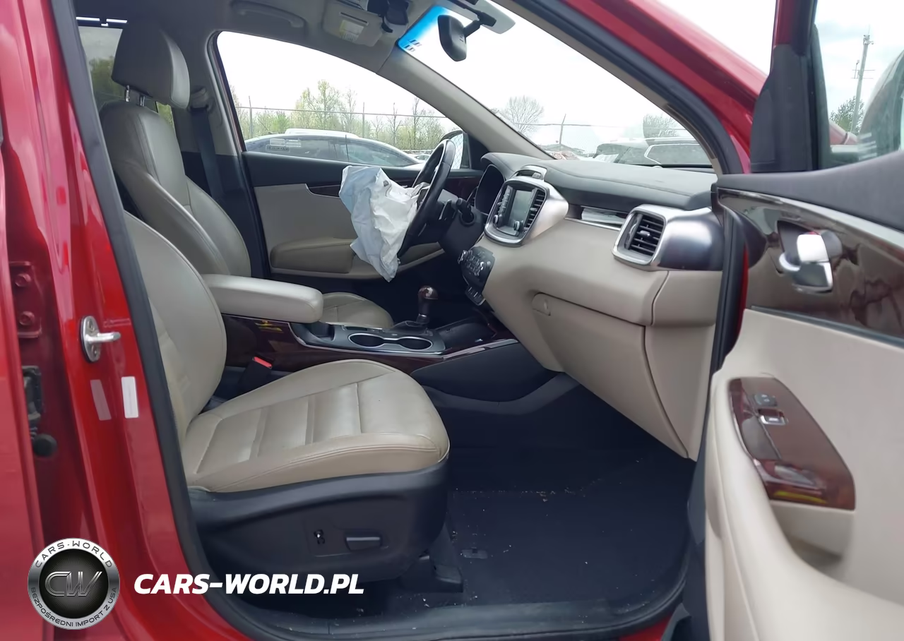 2017 Kia Sorento 2.0T Ex VIN:5XYPH4A17HG245180 - 5