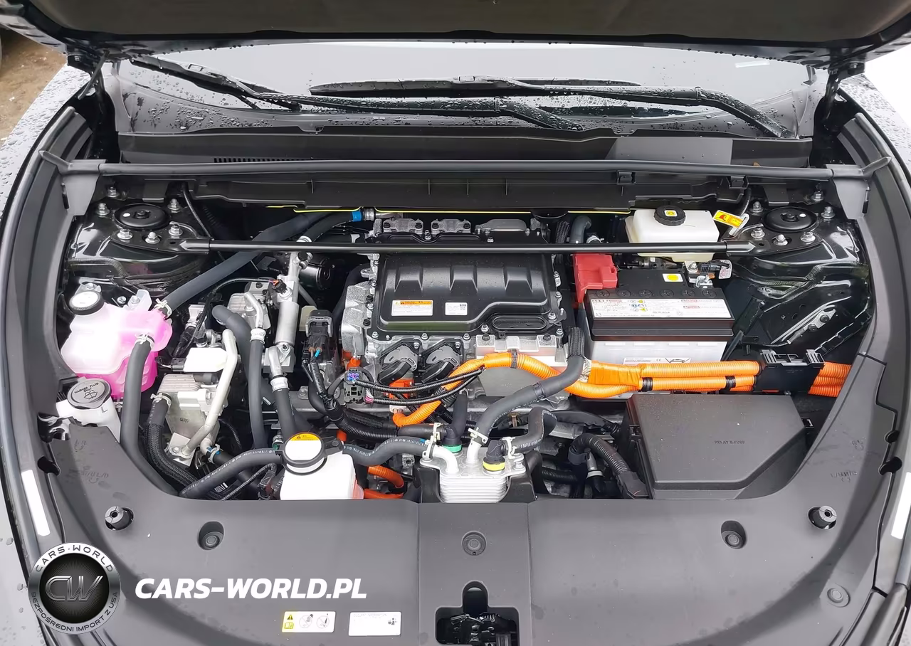 2025 Lexus Rz 450E Premium VIN:JTJAAAABXSA029040 - 10