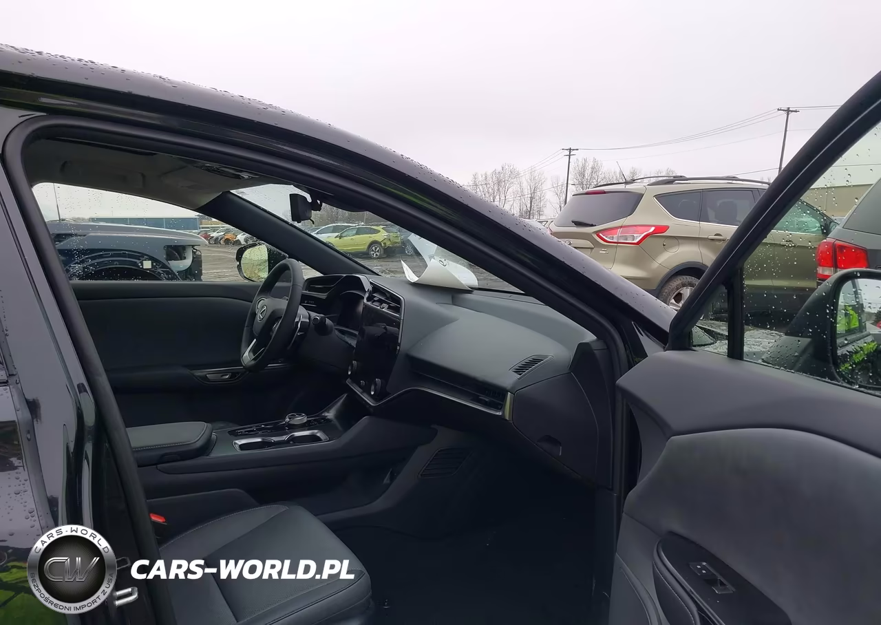2025 Lexus Rz 450E Premium VIN:JTJAAAABXSA029040 - 5