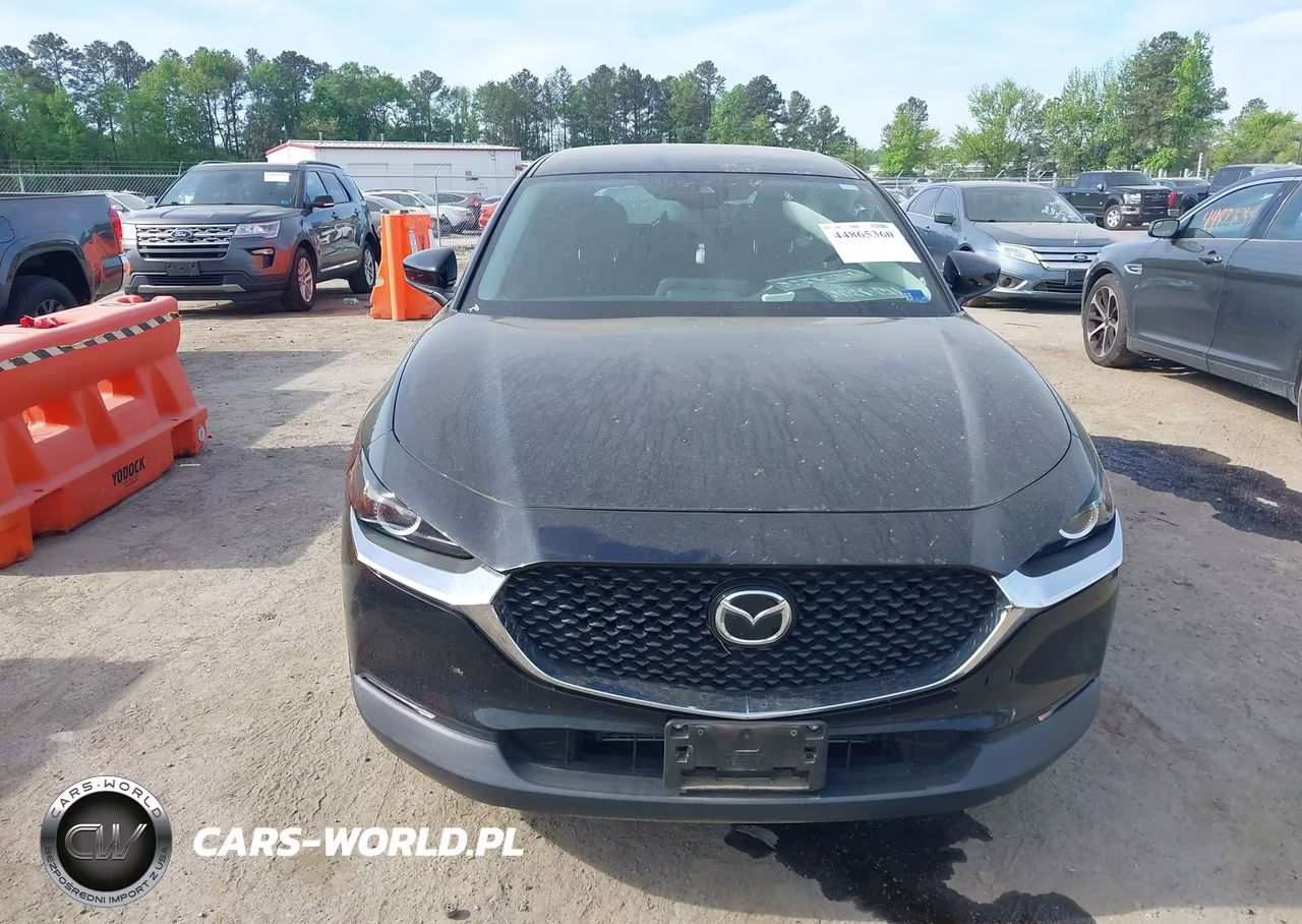 2020 Mazda Cx-30 VIN:3MVDMBBL4LM123549 - 12