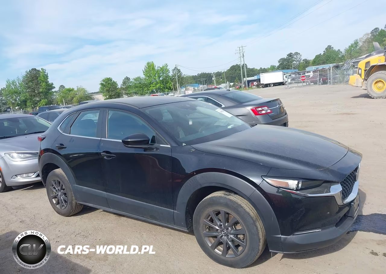 2020 Mazda Cx-30 VIN:3MVDMBBL4LM123549 - 13