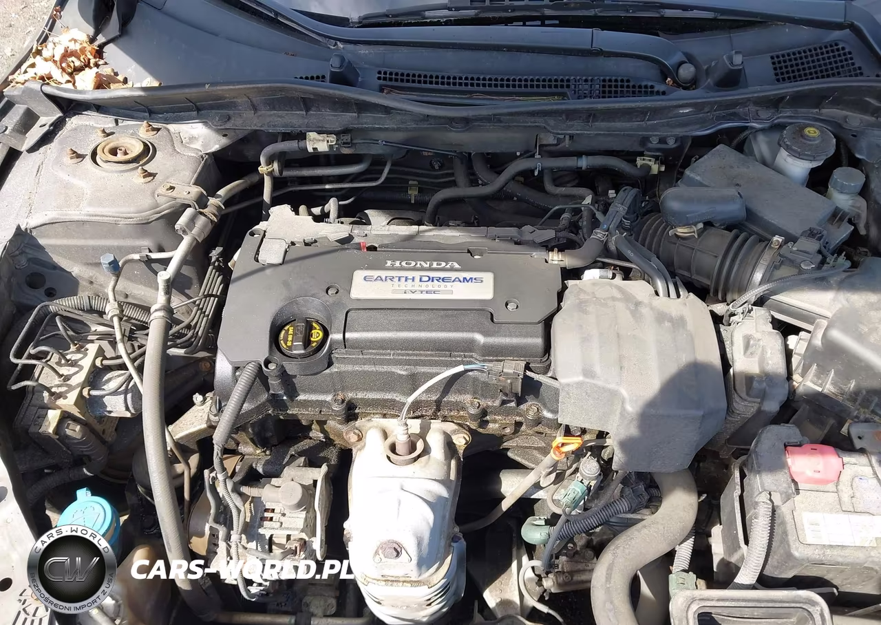 2013 Honda Accord Lx VIN:1HGCR2E39DA224452 - 10