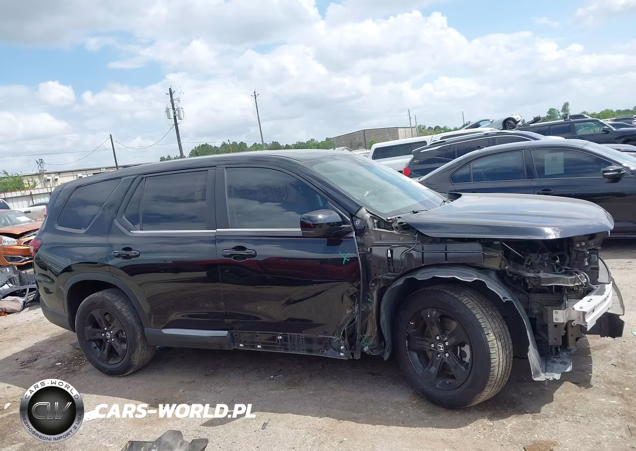 2024 Honda Pilot Ex-L 7 Passenger VIN:5FNYG2H55RB003453 - 13