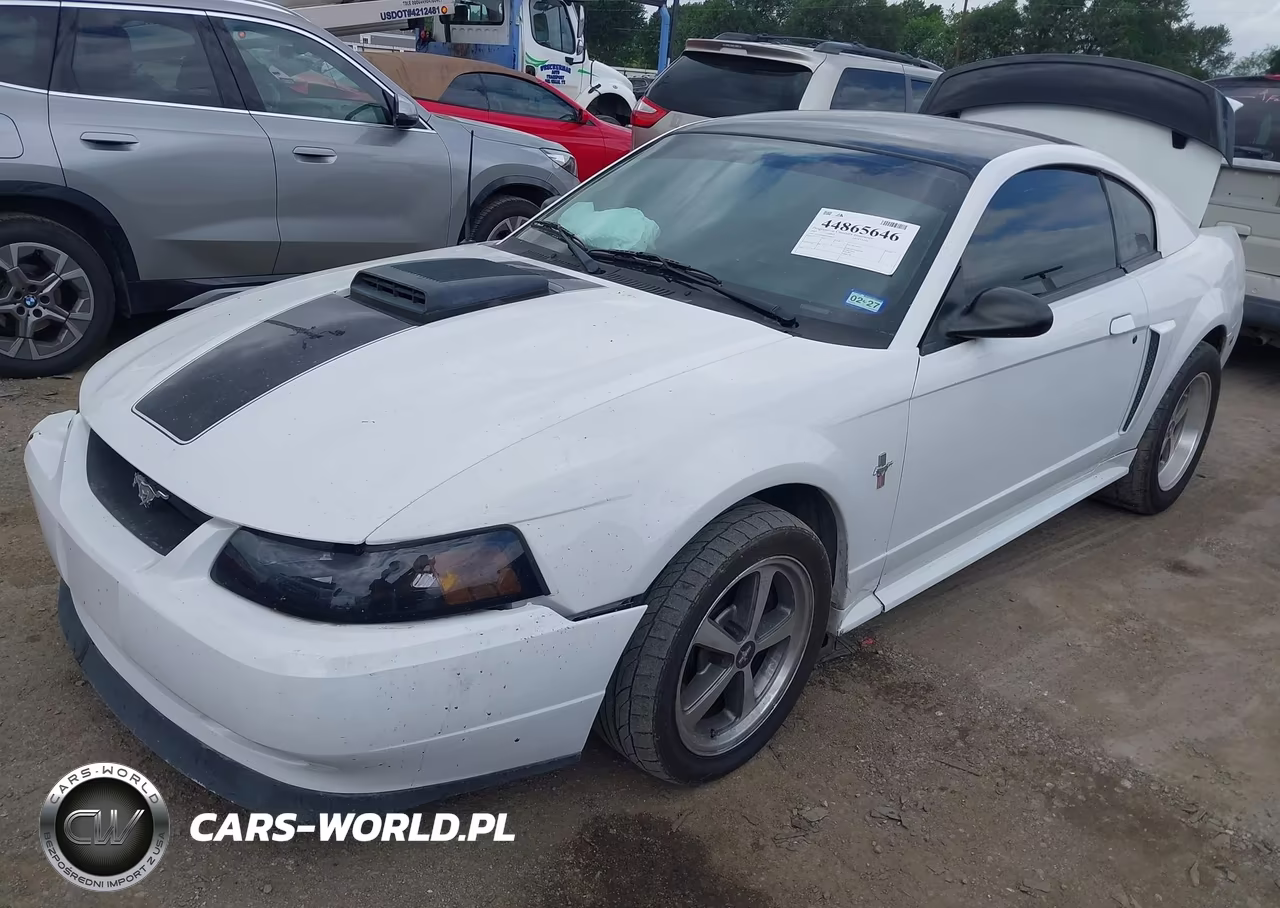 2003 Ford Mustang Mach 1 VIN:1FAFP42R93F408819 - 2