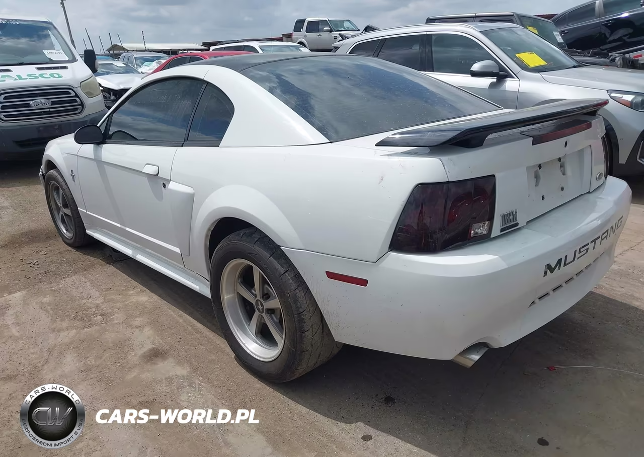 2003 Ford Mustang Mach 1 VIN:1FAFP42R93F408819 - 3