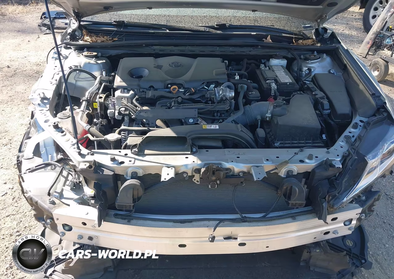 2021 Toyota Camry Le VIN:4T1C11AK1MU458818 - 10