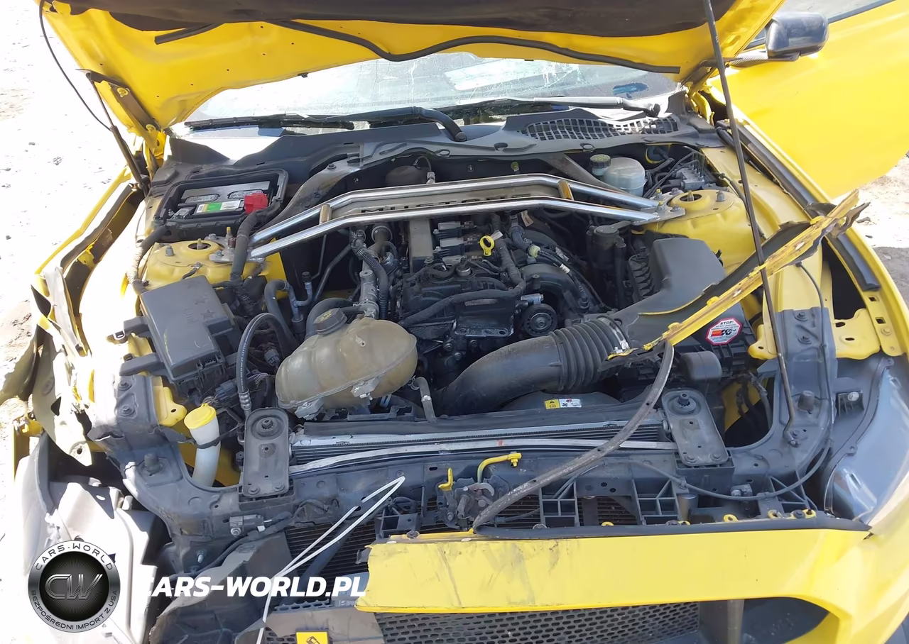 2017 Ford Mustang Ecoboost VIN:1FA6P8TH4H5287014 - 10
