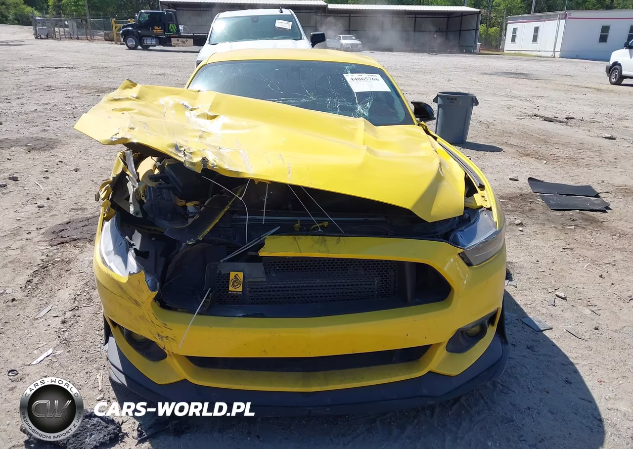 2017 Ford Mustang Ecoboost VIN:1FA6P8TH4H5287014 - 11