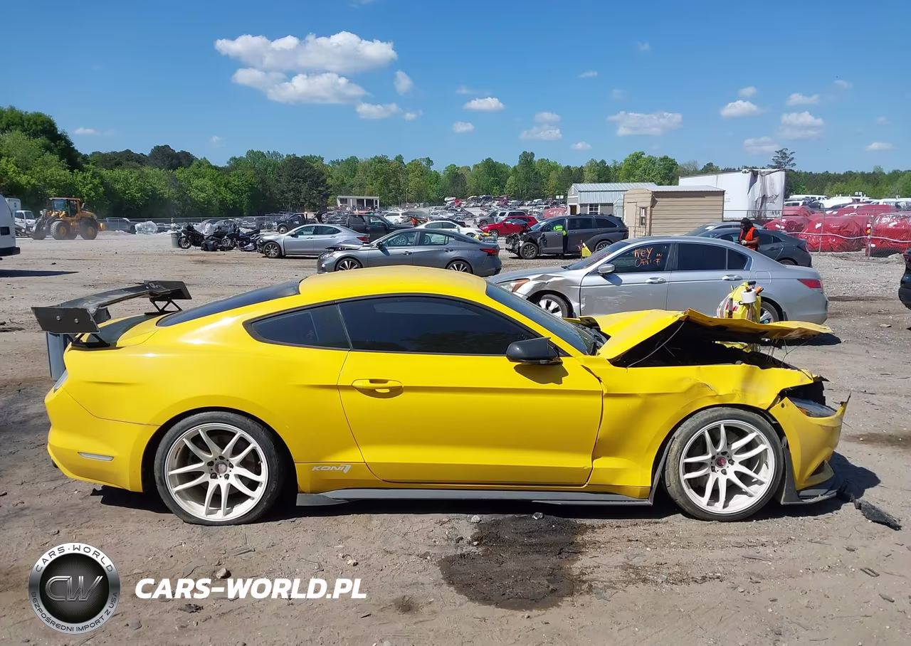 2017 Ford Mustang Ecoboost VIN:1FA6P8TH4H5287014 - 12