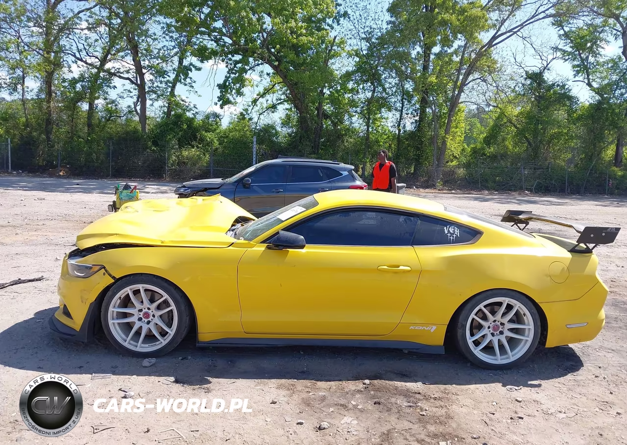 2017 Ford Mustang Ecoboost VIN:1FA6P8TH4H5287014 - 13