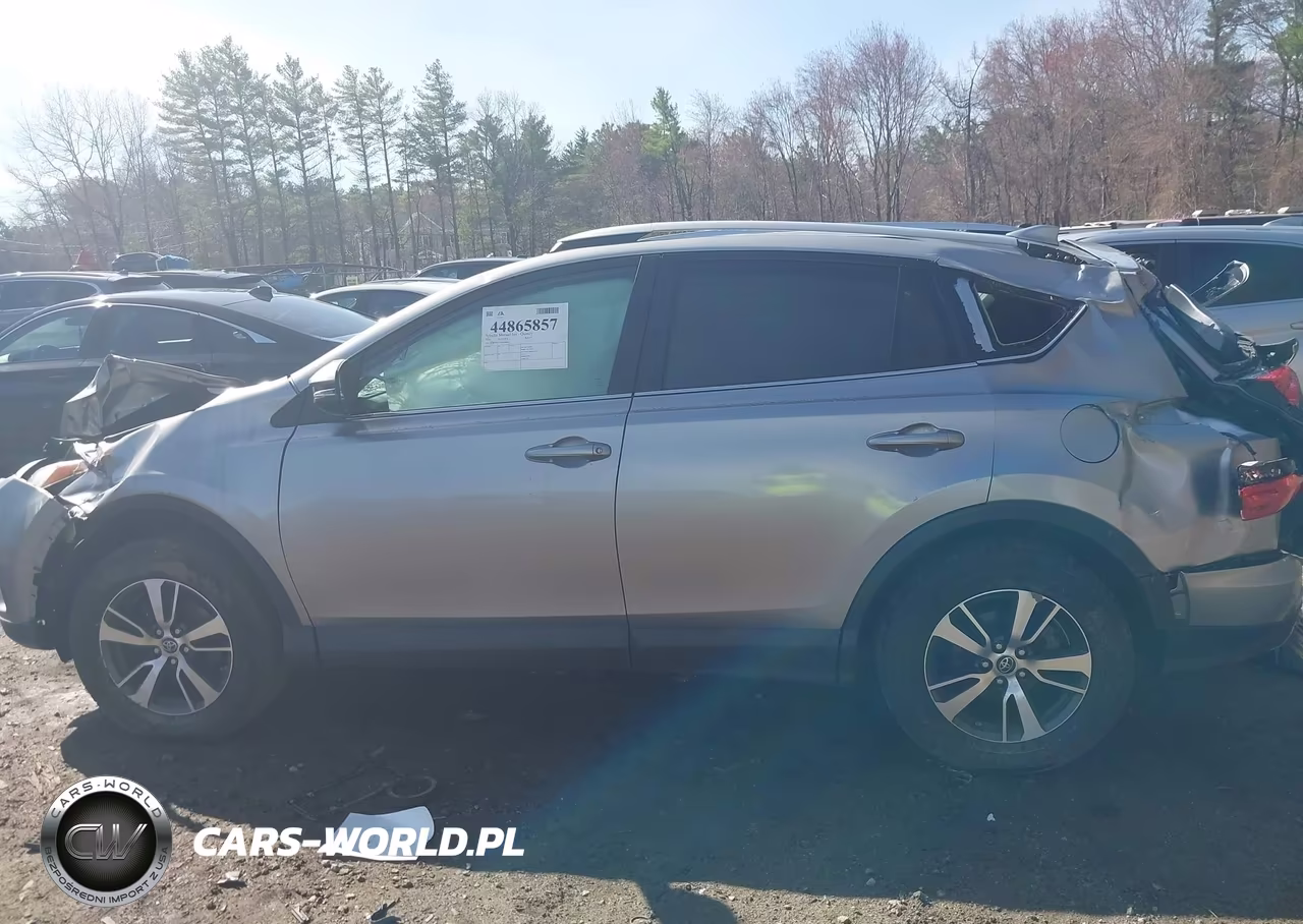 2016 Toyota Rav4 Xle VIN:2T3RFREV1GW490842 - 12