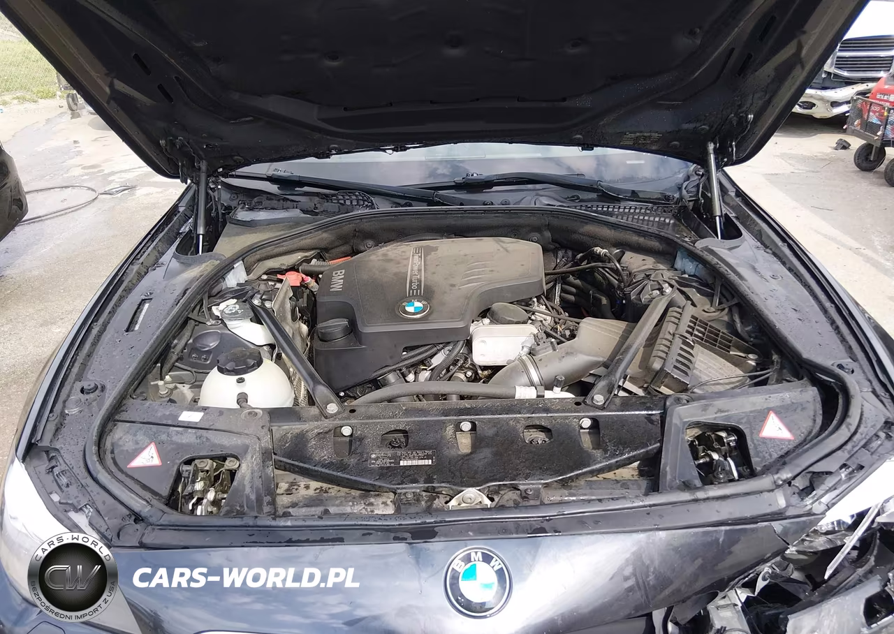 2013 BMW 528I VIN:WBAXG5C50DD231426 - 10