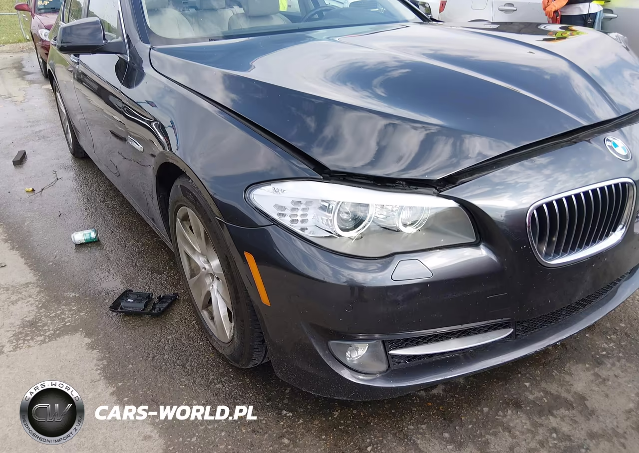2013 BMW 528I VIN:WBAXG5C50DD231426 - 12