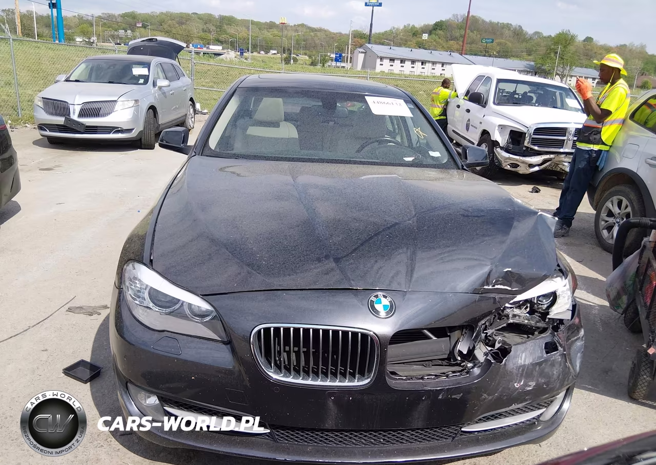 2013 BMW 528I VIN:WBAXG5C50DD231426 - 13