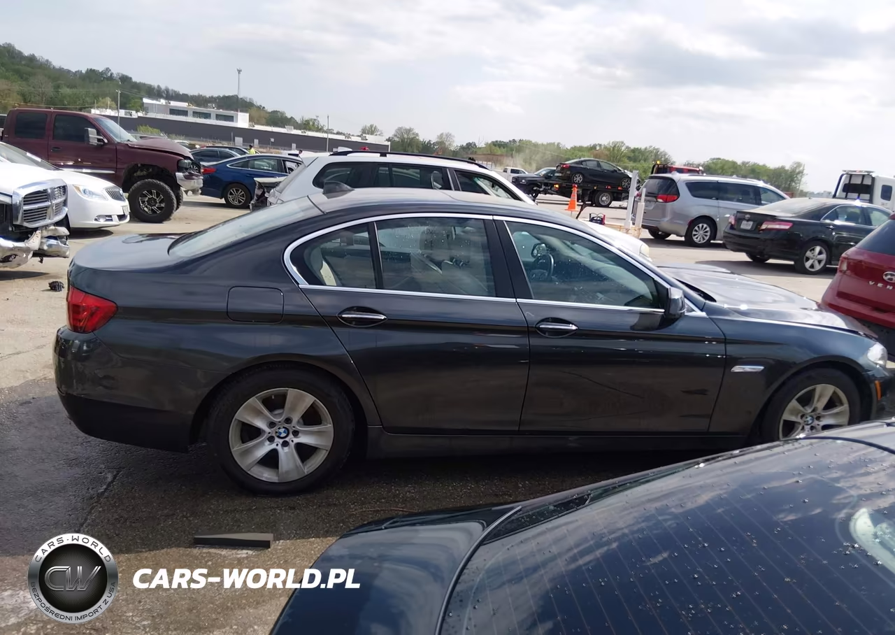 2013 BMW 528I VIN:WBAXG5C50DD231426 - 14
