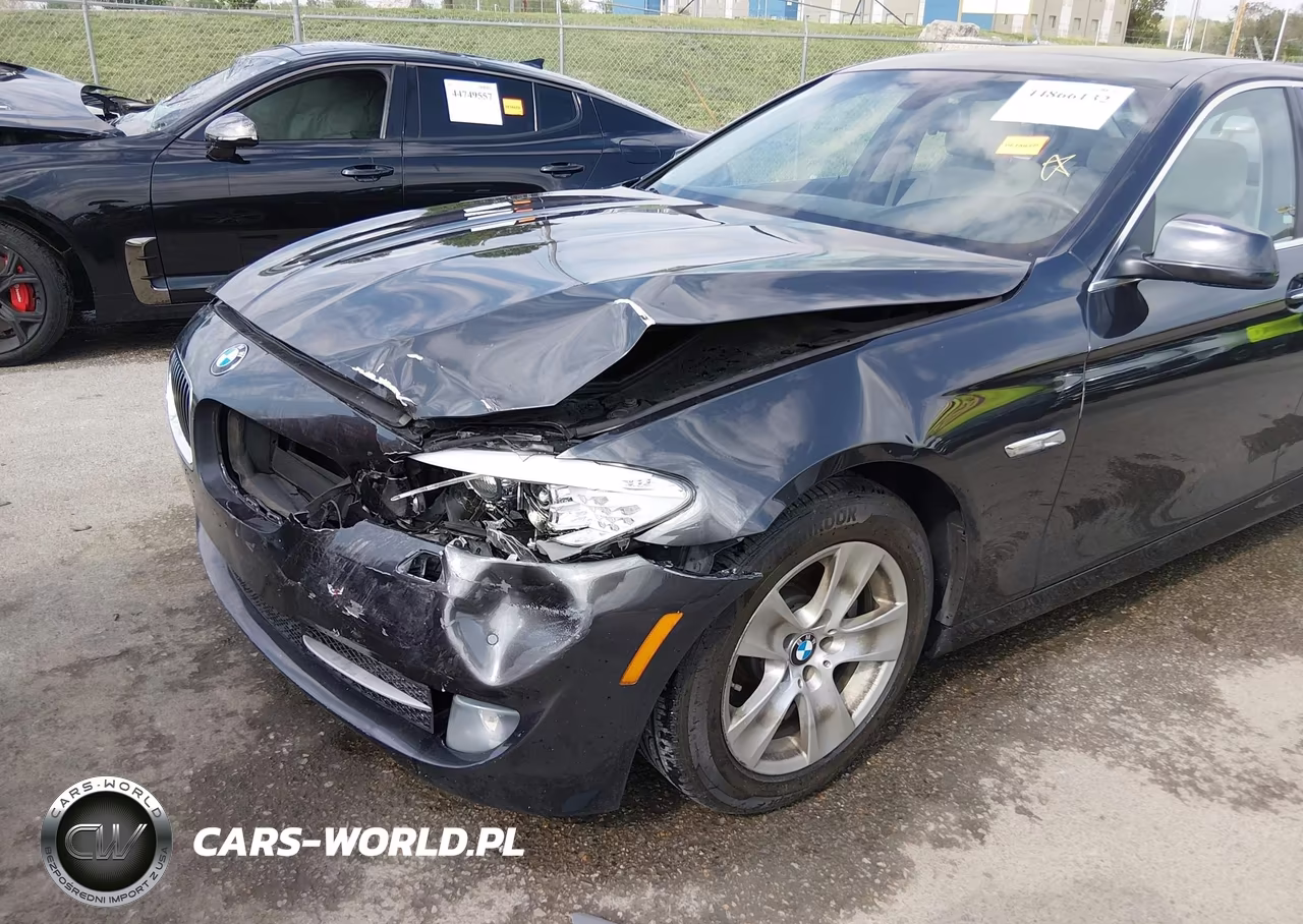 2013 BMW 528I VIN:WBAXG5C50DD231426 - 18