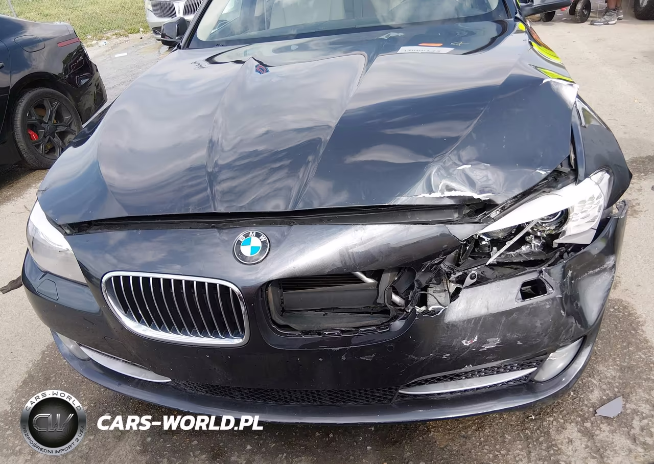 2013 BMW 528I VIN:WBAXG5C50DD231426 - 6