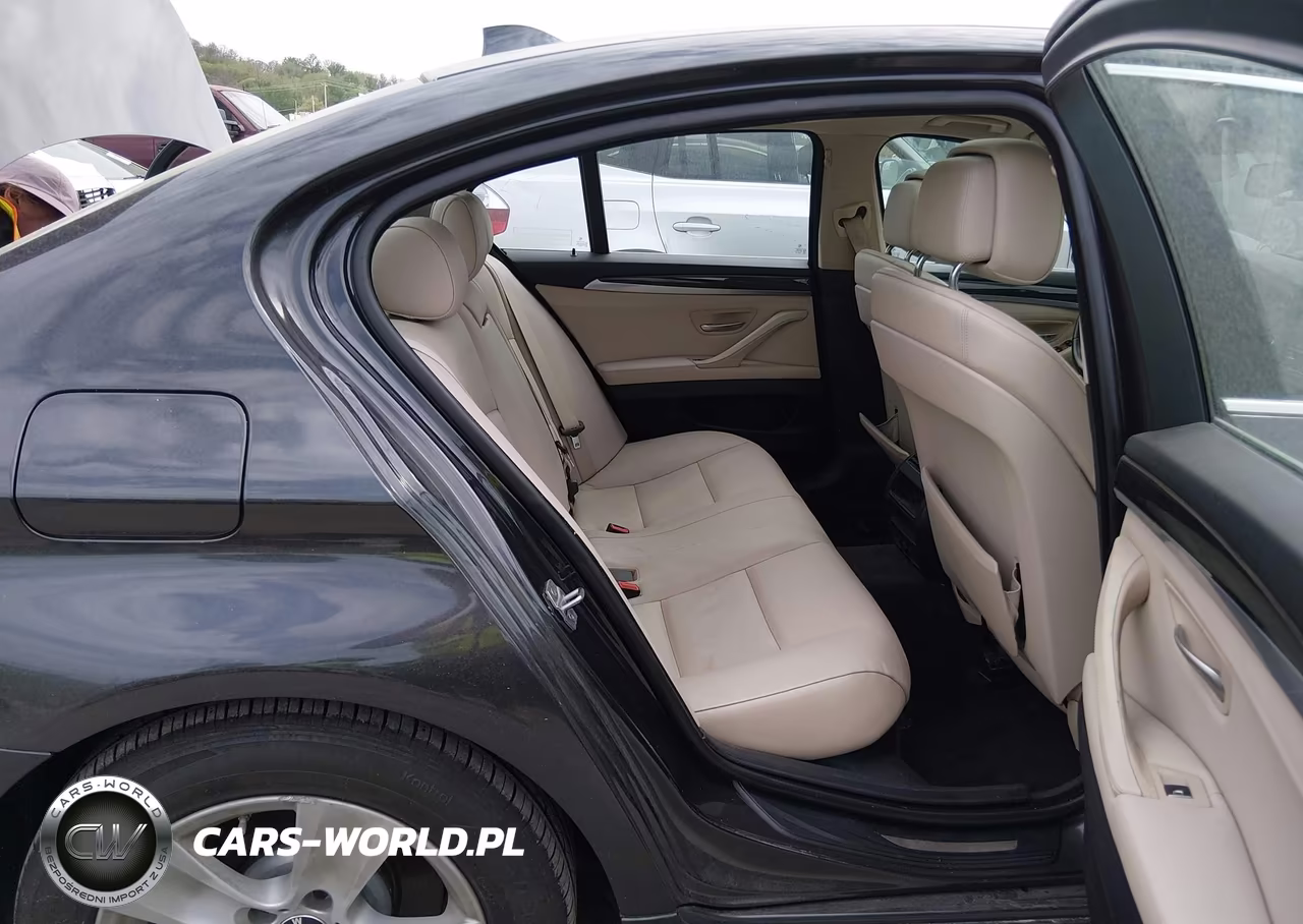 2013 BMW 528I VIN:WBAXG5C50DD231426 - 8