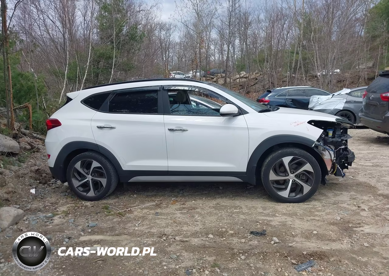 2018 Hyundai Tucson Limited VIN:KM8J3CA29JU674232 - 13