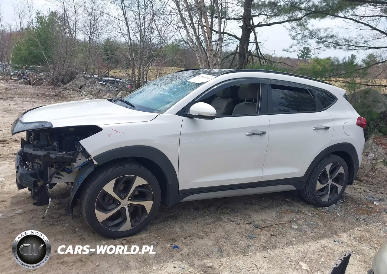 2018 Hyundai Tucson Limited VIN:KM8J3CA29JU674232 - 14