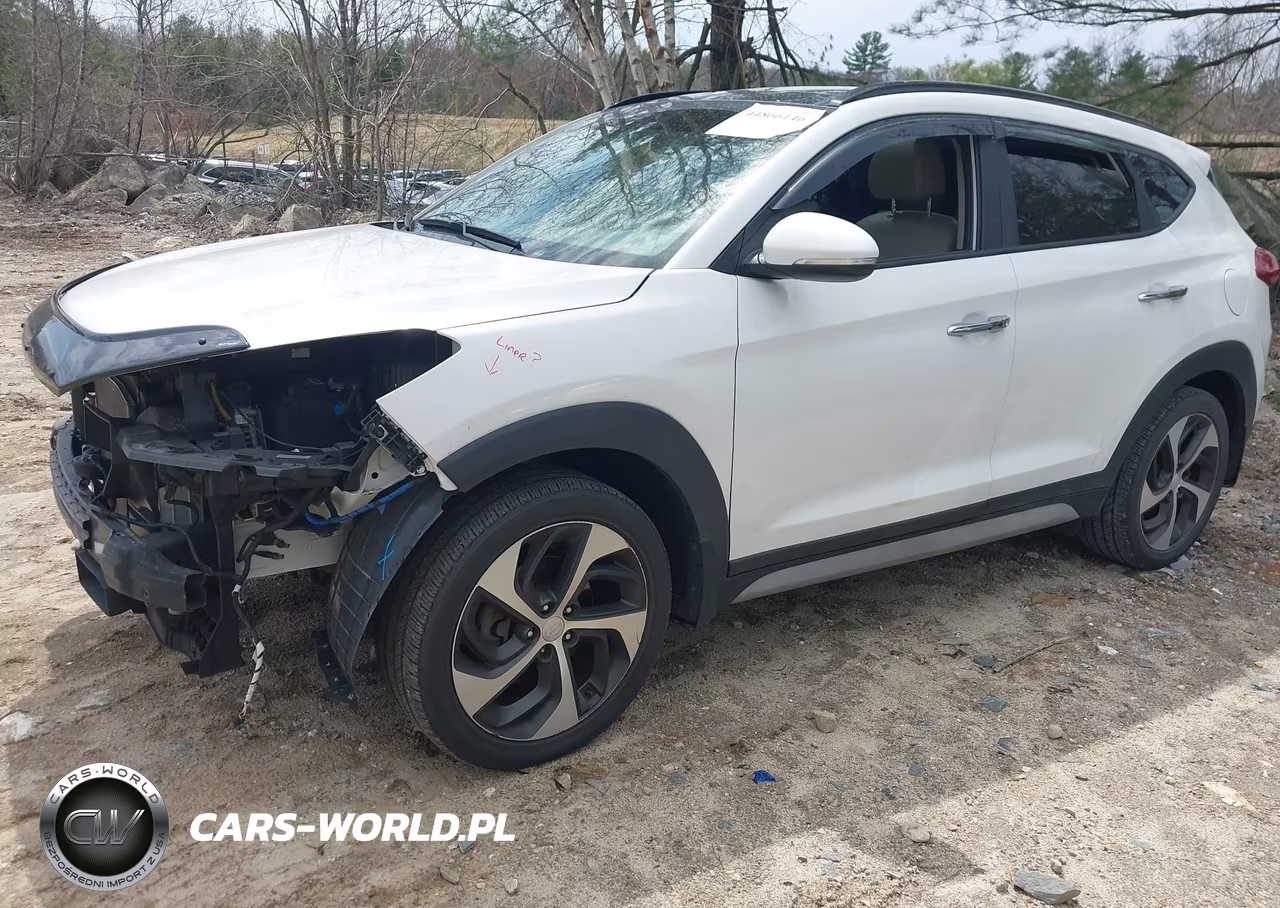 2018 Hyundai Tucson Limited VIN:KM8J3CA29JU674232 - 2