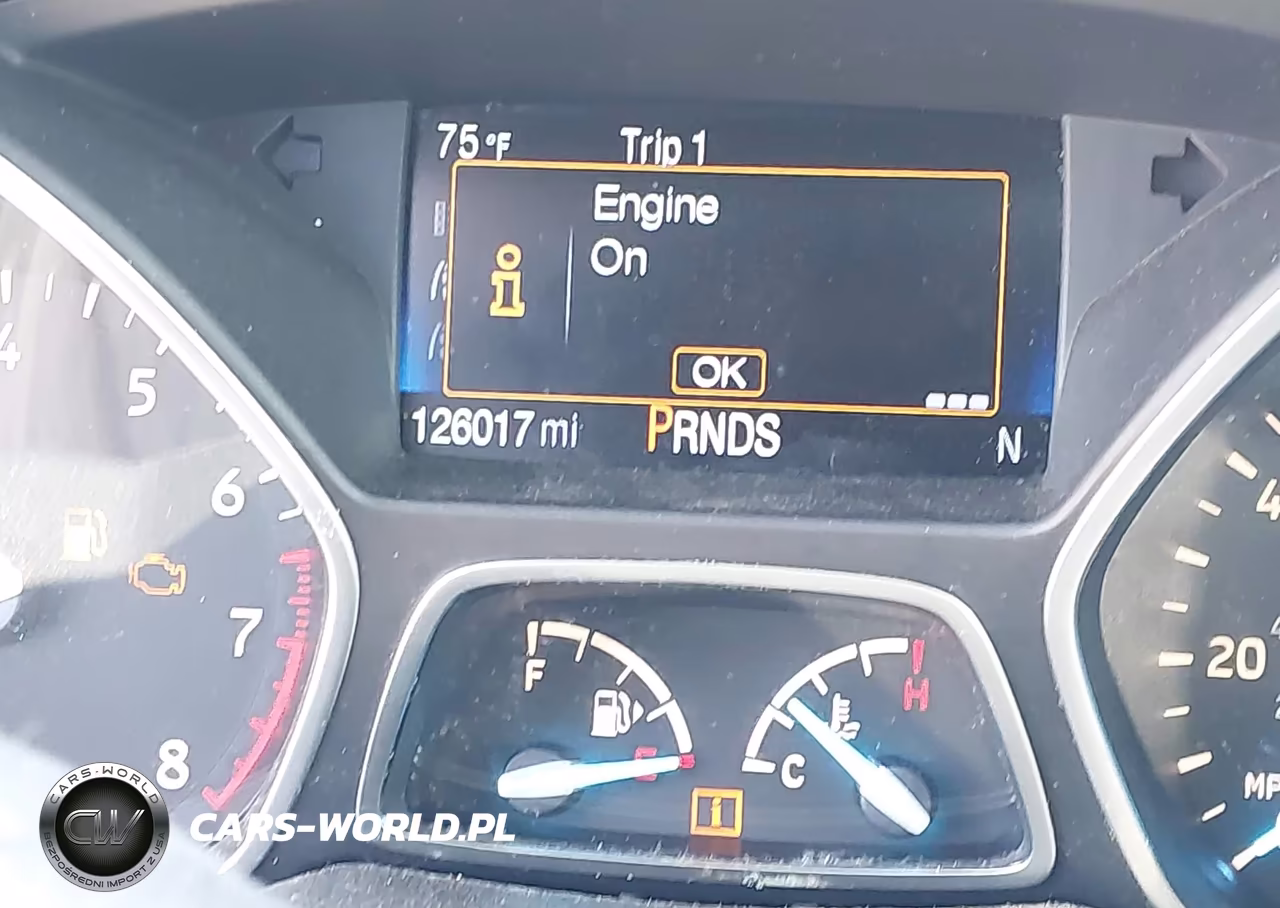 2017 Ford Escape Titanium VIN:1FMCU0JD1HUC72253 - 15