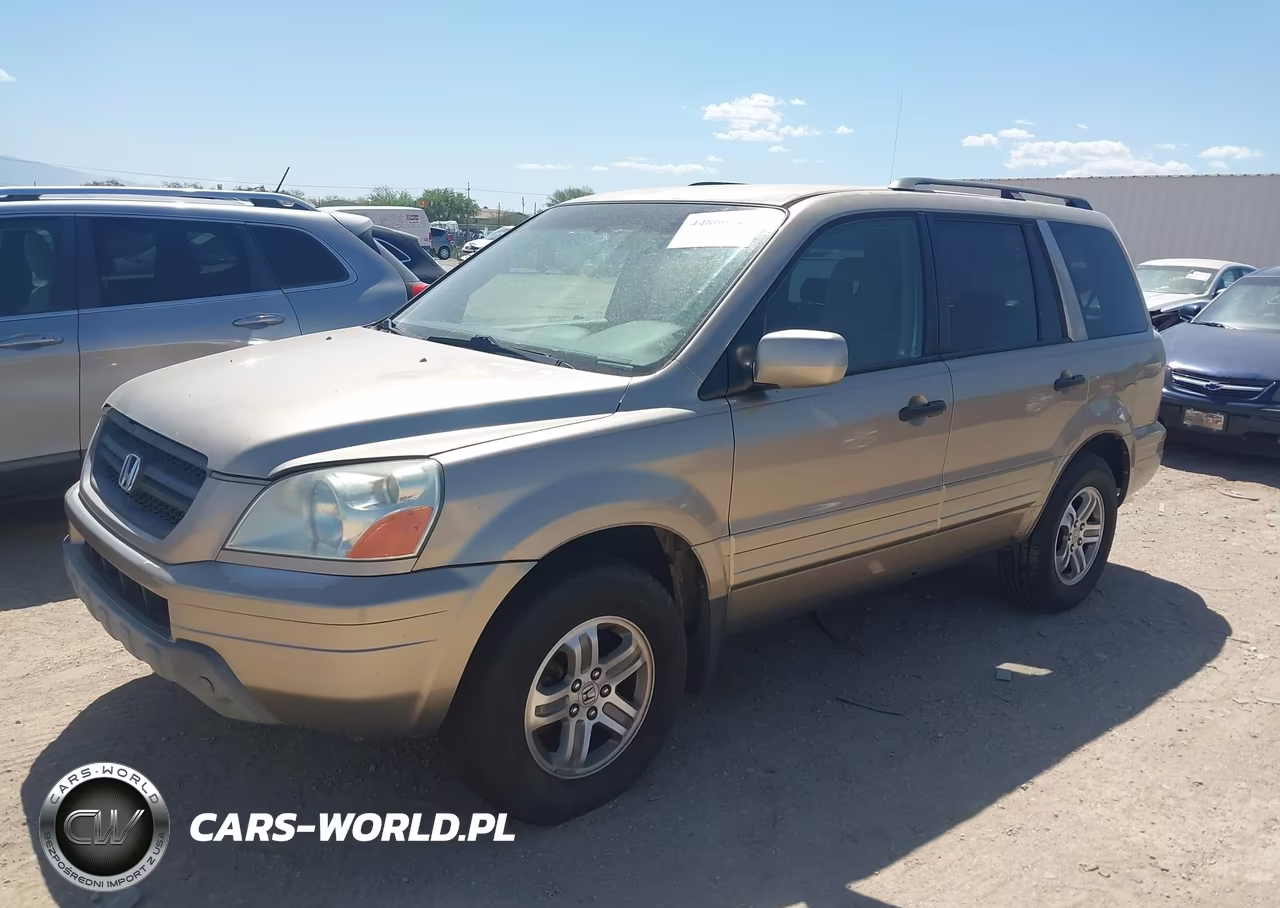 2005 Honda Pilot Ex VIN:5FNYF18405B055037 - 2
