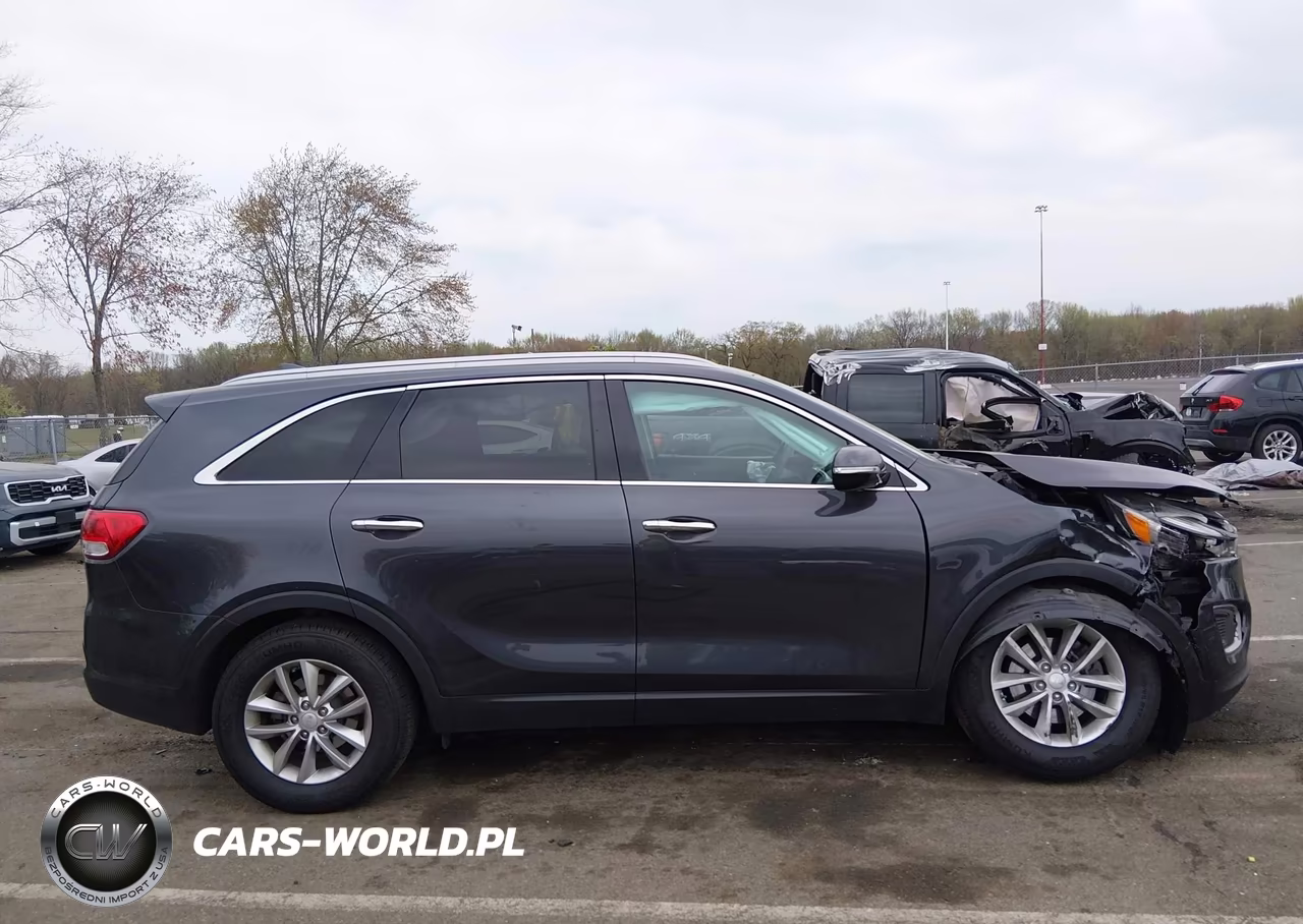 2018 Kia Sorento 2.4L Lx VIN:5XYPG4A36JG369435 - 13
