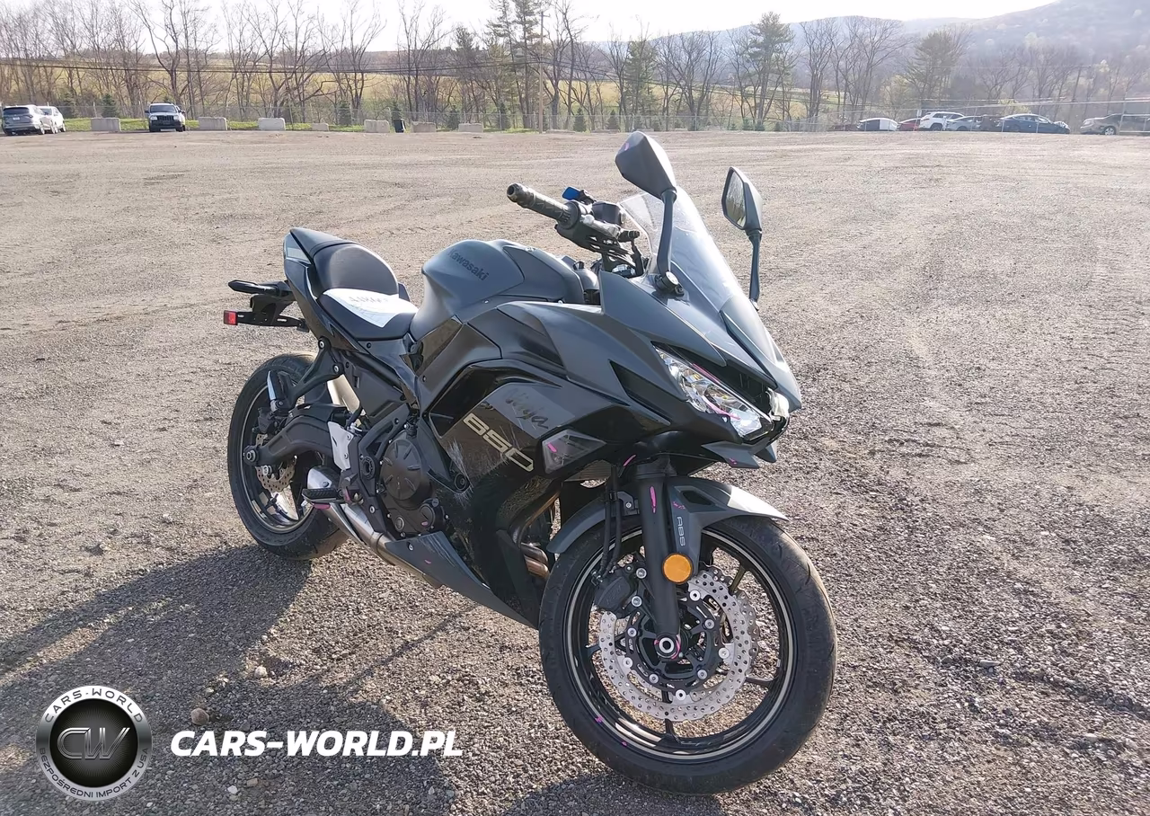 2024 Kawasaki Ex650 P – zdjęcie 1 z 14