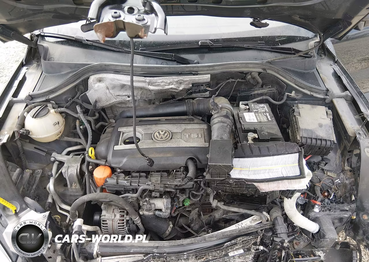 2016 Volkswagen Tiguan S VIN:WVGAV7AX3GK000076 - 10