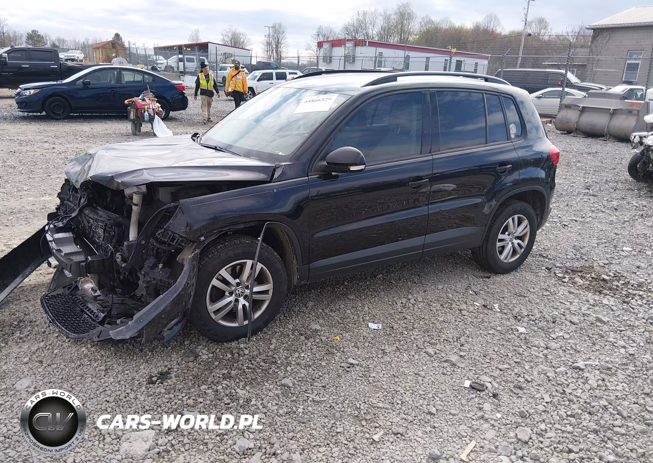 2016 Volkswagen Tiguan S VIN:WVGAV7AX3GK000076 - 2