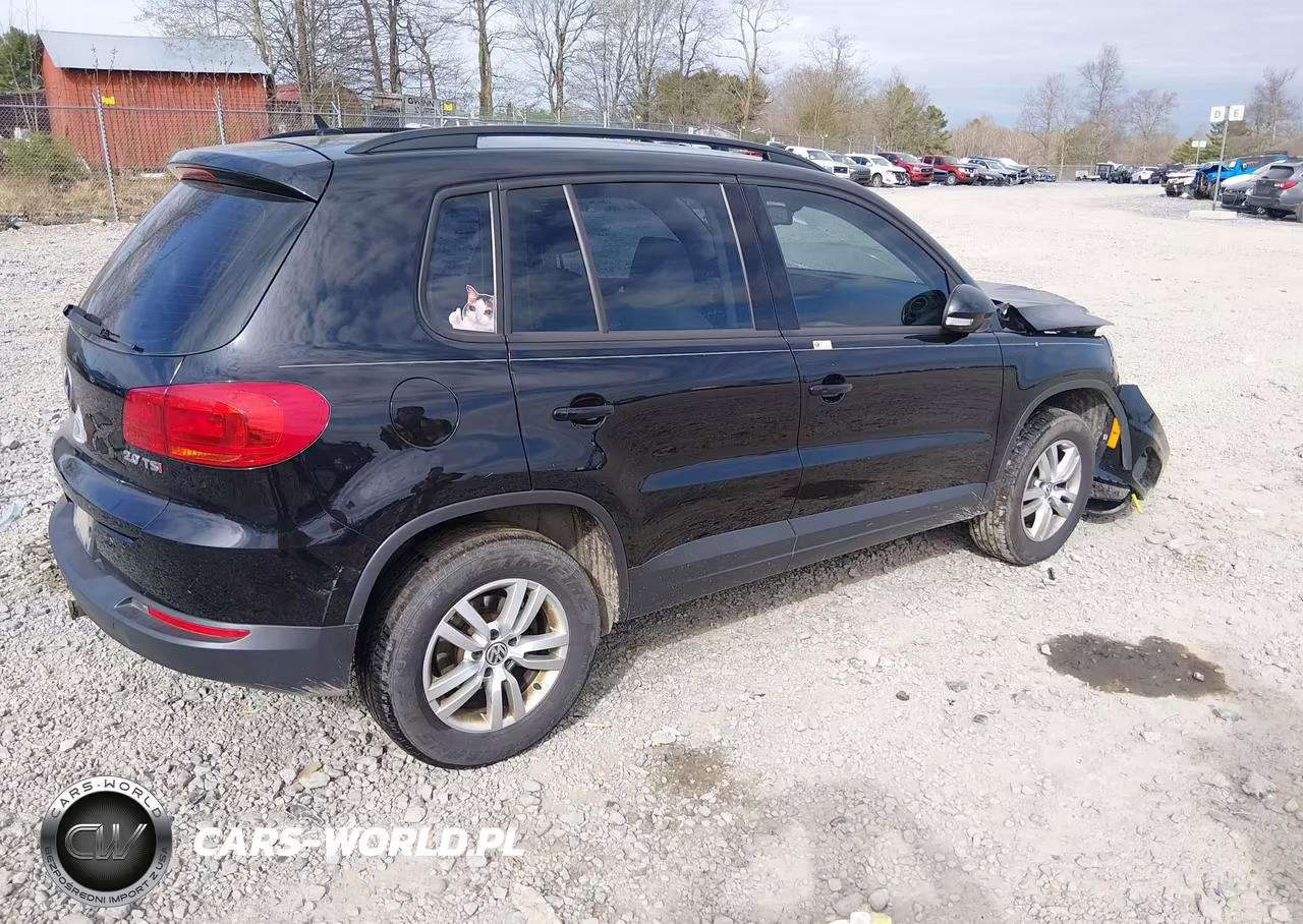 2016 Volkswagen Tiguan S VIN:WVGAV7AX3GK000076 - 4