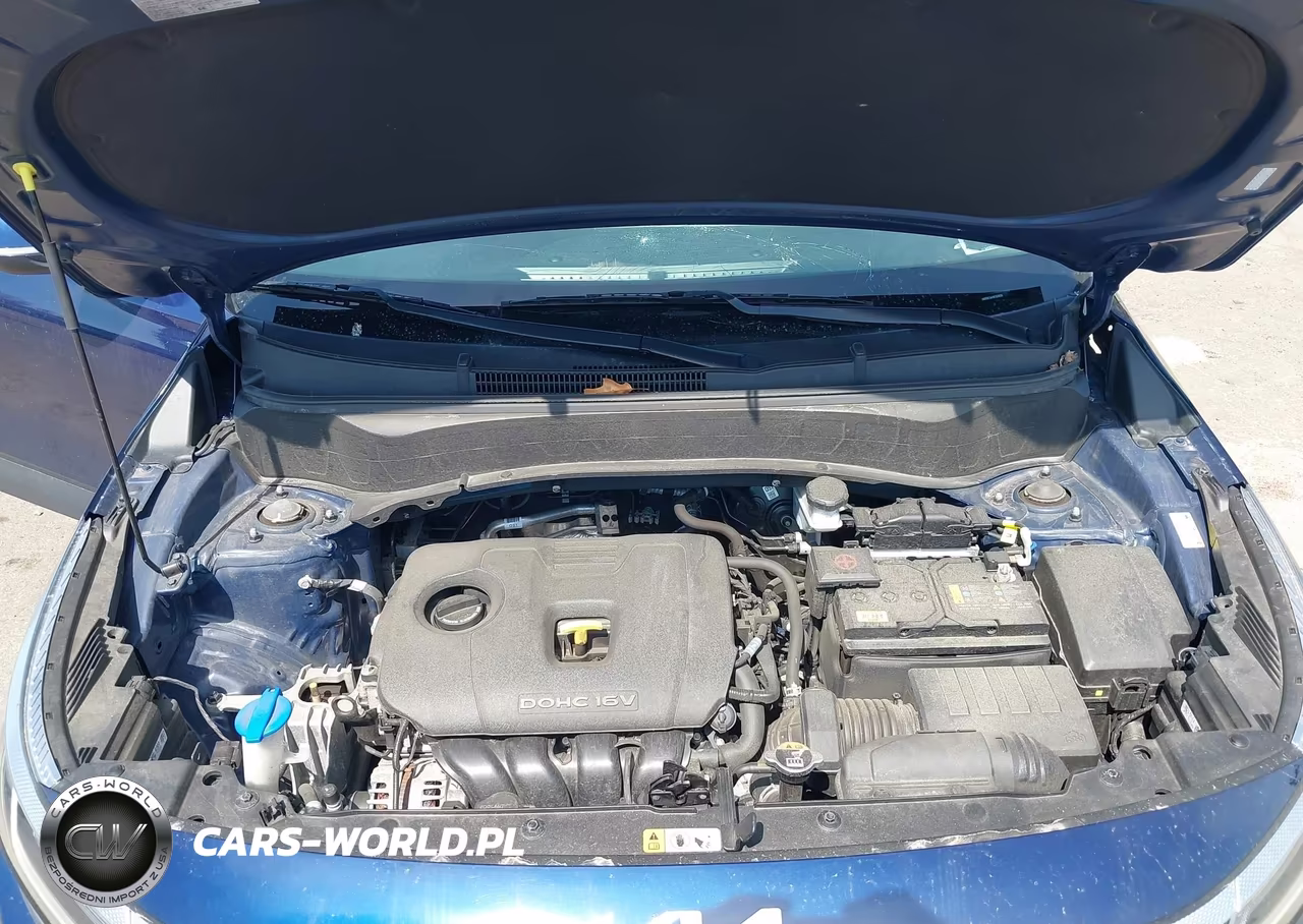 2024 Kia Seltos Ex VIN:KNDERCAA9R7628535 - 10