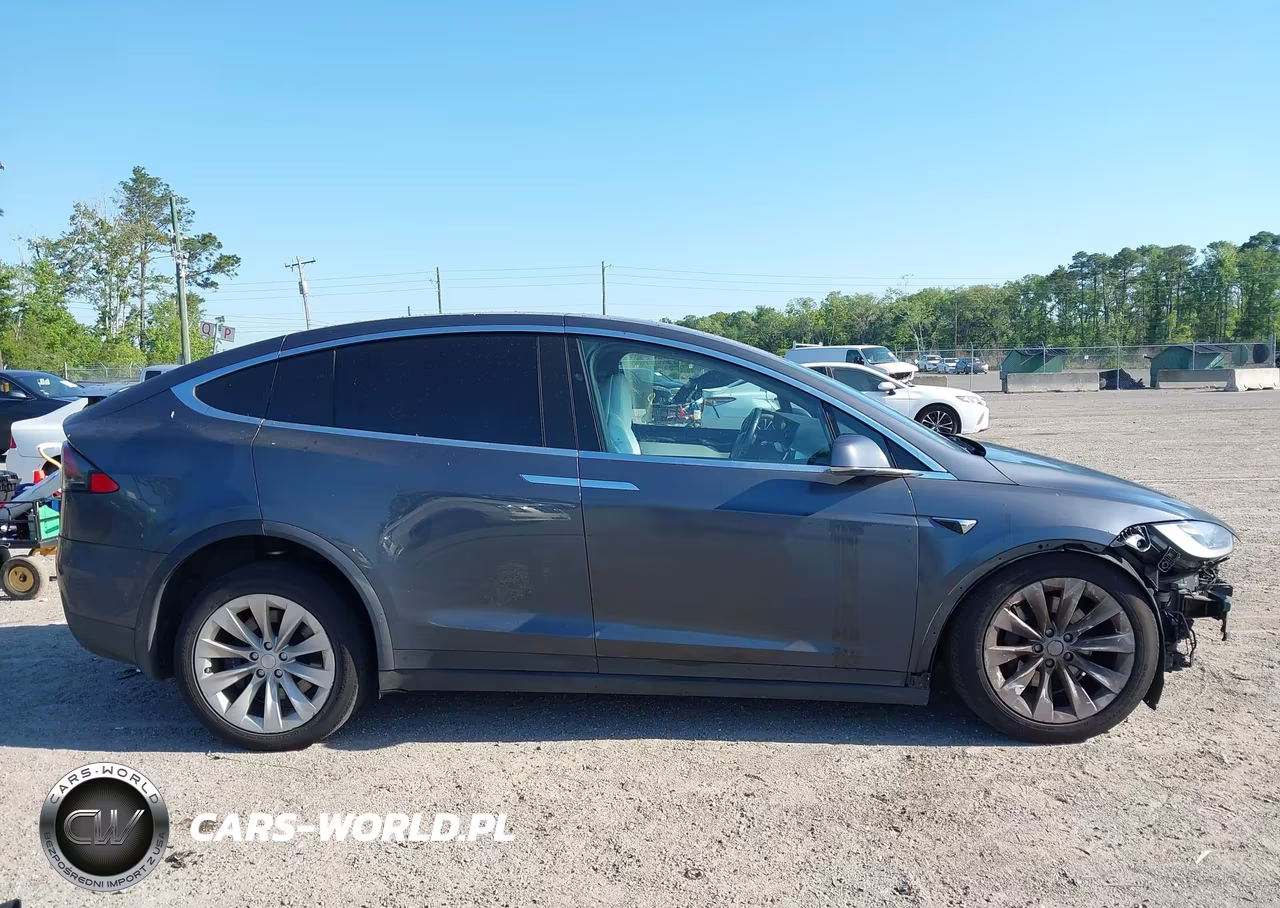 2018 Tesla Model X 100D-75D-P100D VIN:5YJXCAE20JF101564 - 13