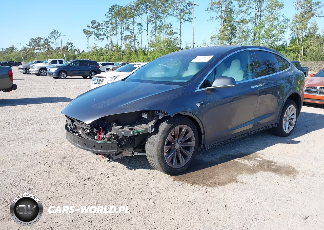 2018 Tesla Model X 100D-75D-P100D VIN:5YJXCAE20JF101564 - 2