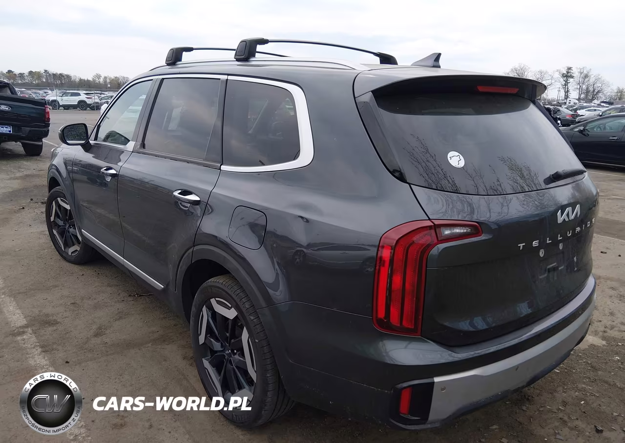 2023 Kia Telluride S VIN:5XYP6DGC5PG384866 - 3