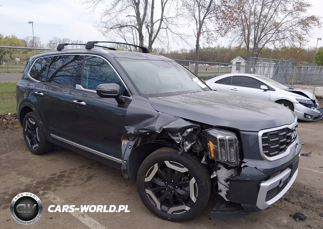 2023 Kia Telluride S VIN:5XYP6DGC5PG384866 - 6