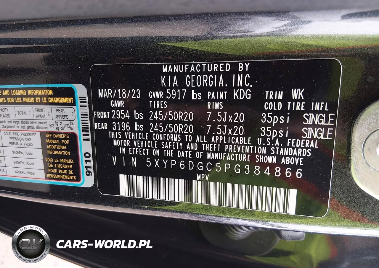 2023 Kia Telluride S VIN:5XYP6DGC5PG384866 - 9