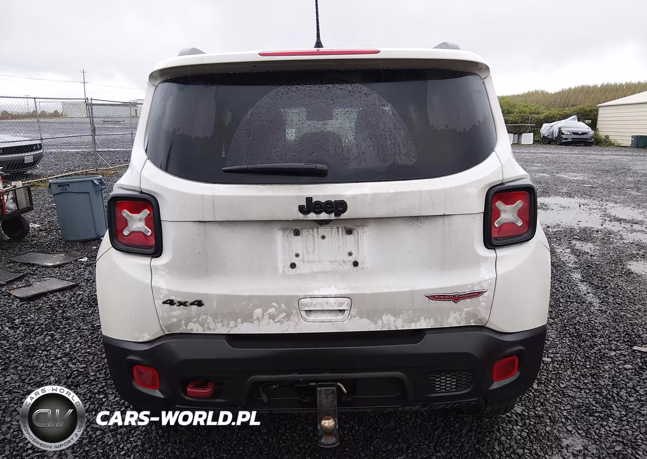 2023 Jeep Renegade Trailhawk 4X4 VIN:ZACNJDC17PPP21089 - 17
