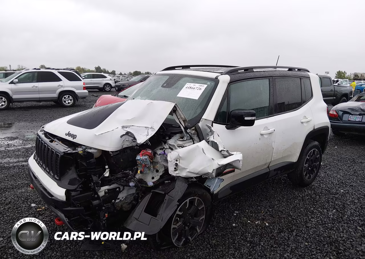 2023 Jeep Renegade Trailhawk 4X4 VIN:ZACNJDC17PPP21089 - 2